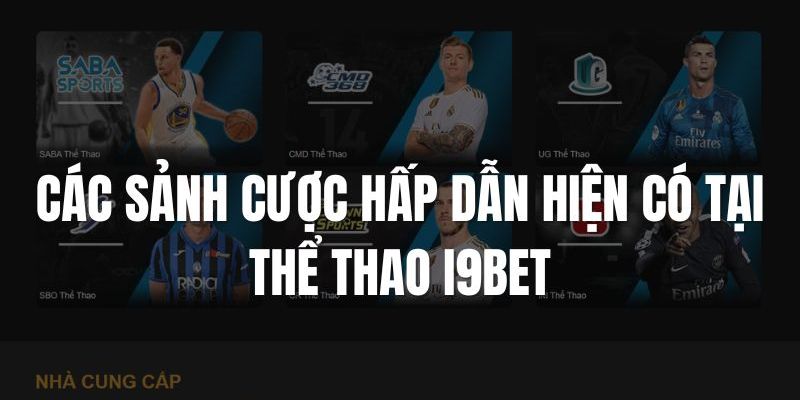 Điểm danh các sảnh cược thể thao hot nhất hiện nay